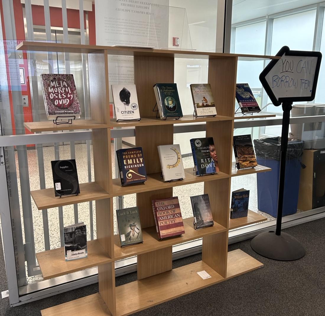 Books on library display