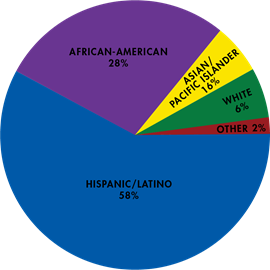 Circle of the Ethnicity and Race Stats