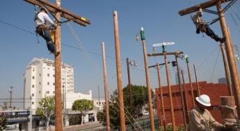 Powerline workers at poleyard