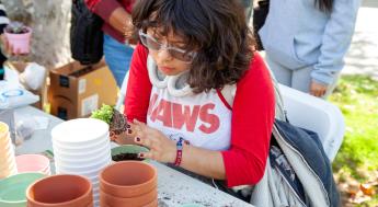 Student gardening at table
