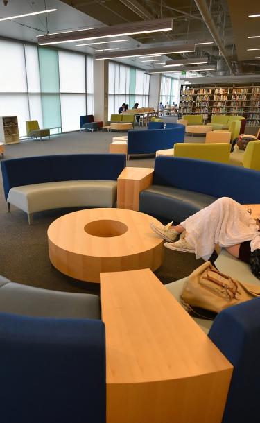 Student Sitting in the Library