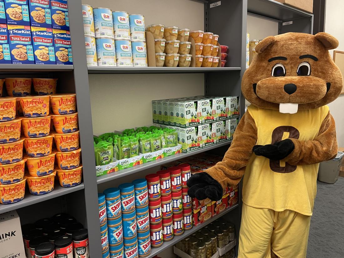 Bucky beaver with pantry items