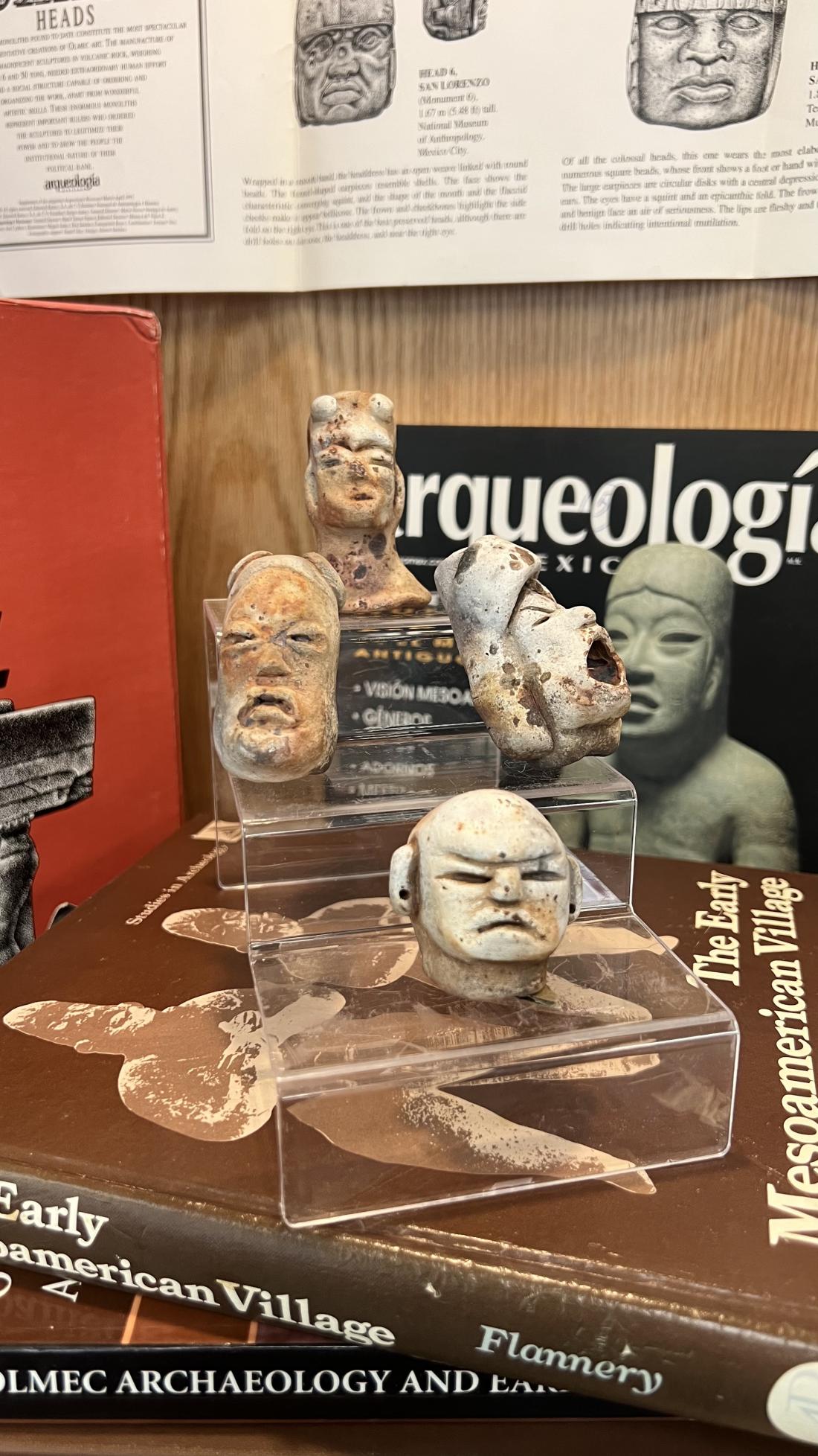 Olmec Head